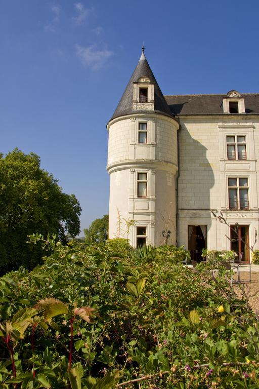 Chateau De Chissay, Hotel De Charme Pres De Chenonceau Et Le Zoo De Beauval Eksteriør bilde